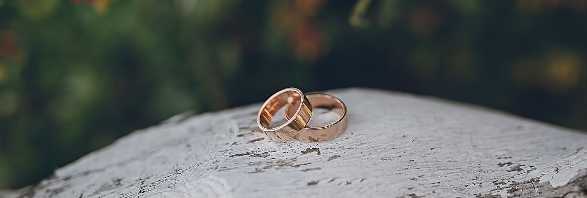 Palmiye Düğün Salonları